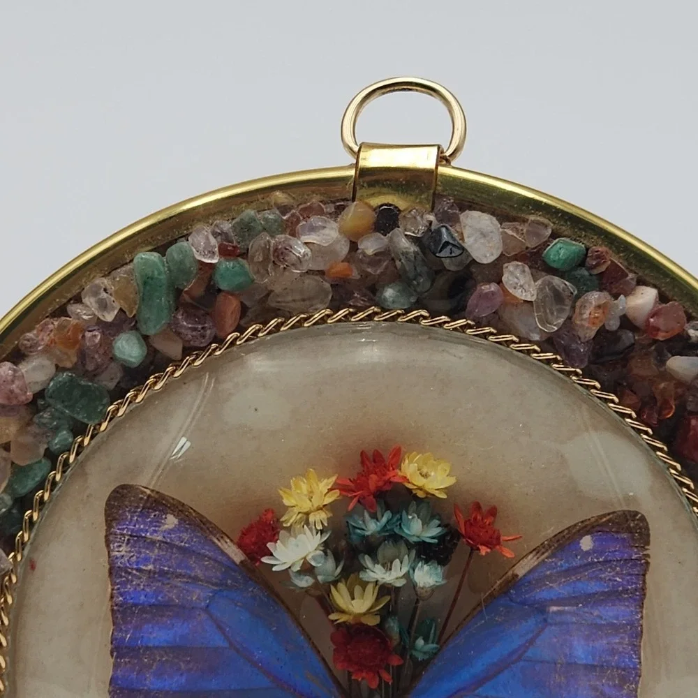 N/A brasil butterfly